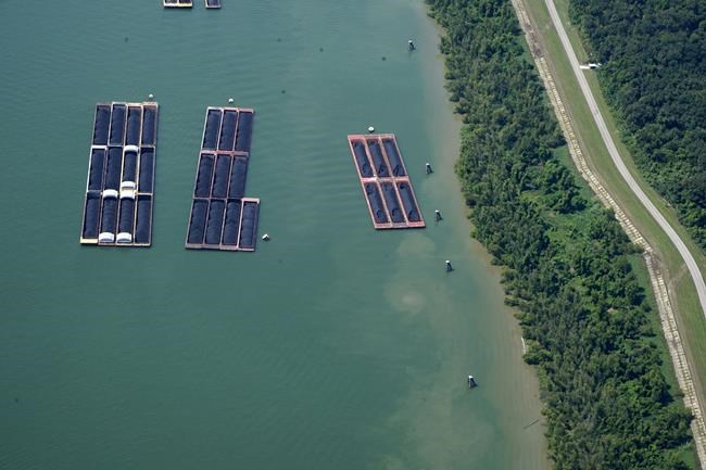 Biden to send disaster assistance to Louisiana, as salt water threatens the state's drinking water | iNFOnews.ca Biden to send disaster assistance to Louisiana, as salt water threatens the state's drinking water | iNFOnews.ca
