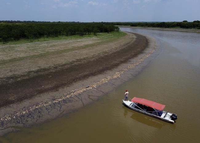 More than 100 dolphins found dead in Brazilian Amazon as water temperatures soar | iNFOnews.ca More than 100 dolphins found dead in Brazilian Amazon as water temperatures soar | iNFOnews.ca