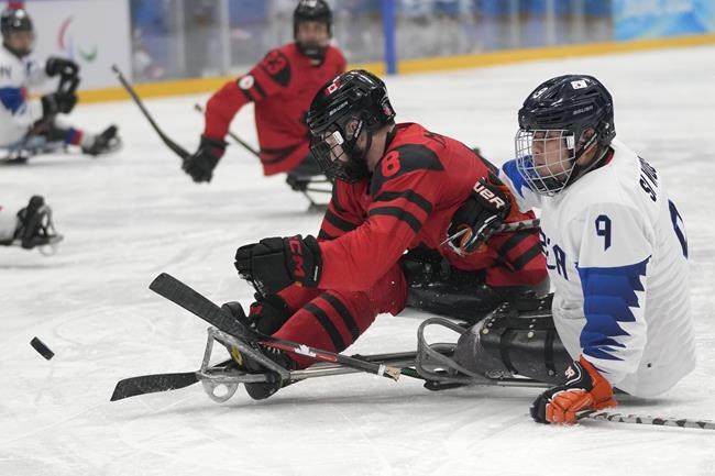 Canada falls 6-1 to rival U.S. in International Para Hockey Cup | iNFOnews.ca Canada falls 6-1 to rival U.S. in International Para Hockey Cup | iNFOnews.ca
