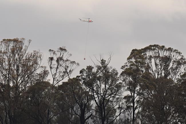 Wildfire destroys 3 homes in southeastern Australia and a man is injured by a falling tree | iNFOnews.ca