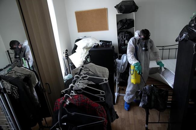 Bedbugs are making France anxious ahead of the 2024 Summer Olympics | iNFOnews.ca Bedbugs are making France anxious ahead of the 2024 Summer Olympics | iNFOnews.ca