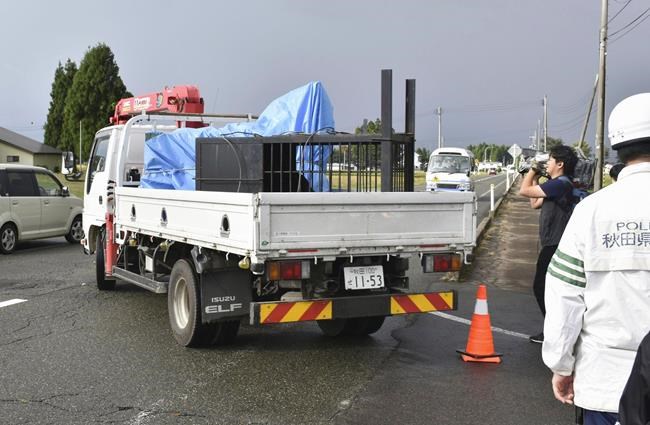 3 bears are captured after sneaking into a tatami factory as northern Japan faces a growing problem | iNFOnews.ca 3 bears are captured after sneaking into a tatami factory as northern Japan faces a growing problem | iNFOnews.ca
