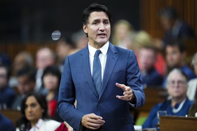 Disability advocates warn eligibility for federal dental-care plan may be cumbersome | iNFOnews.ca