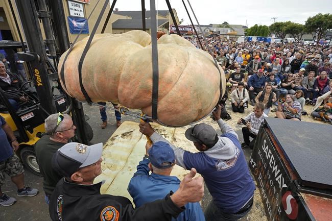 Pumpkin weighing 2,749 pounds wins California contest, sets world record for biggest gourd | iNFOnews.ca Pumpkin weighing 2,749 pounds wins California contest, sets world record for biggest gourd | iNFOnews.ca