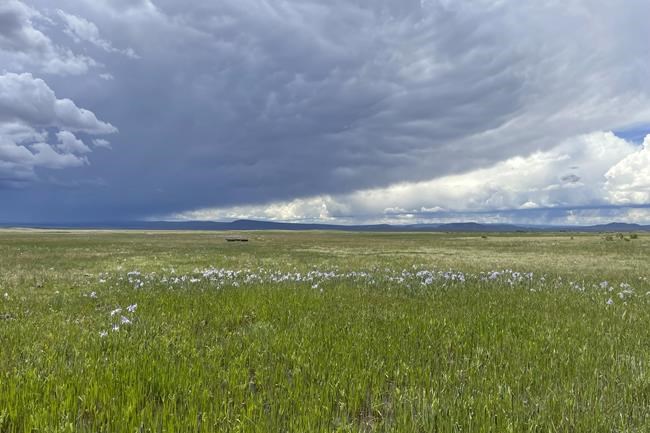 New national wildlife refuges in Tennessee, Wyoming created to protect toads, bats, salamanders | iNFOnews.ca