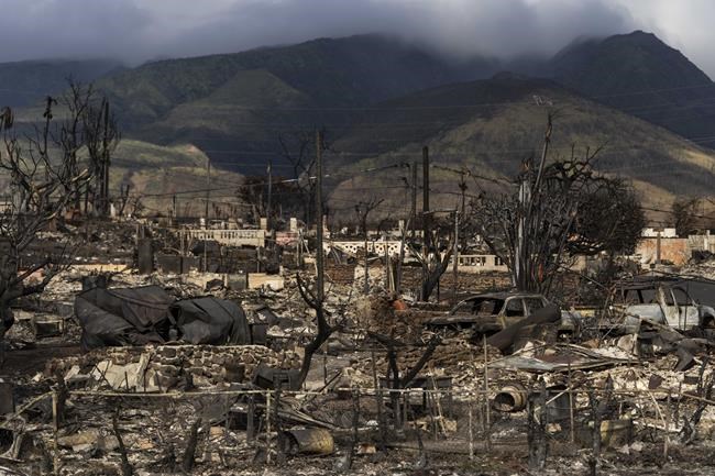 911 calls from deadly Lahaina wildfire show residents' terror and panic in a desperate bid to escape | iNFOnews.ca