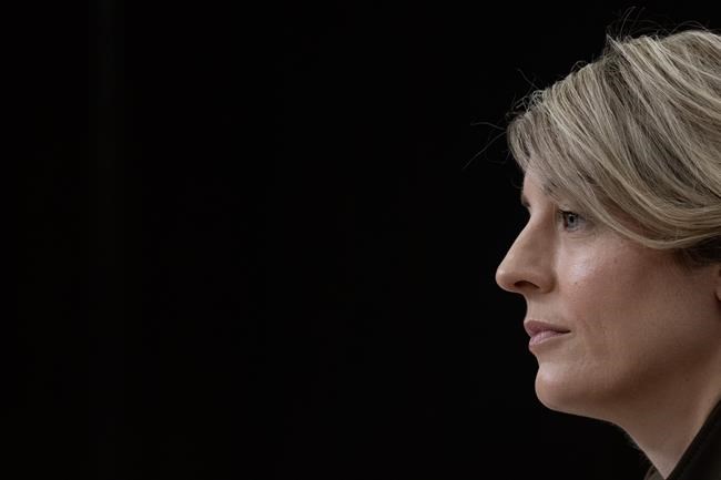 Canadians may soon be able to leave Gaza through Egypt: Global Affairs Canada | iNFOnews.ca Canadians may soon be able to leave Gaza through Egypt: Global Affairs Canada | iNFOnews.ca