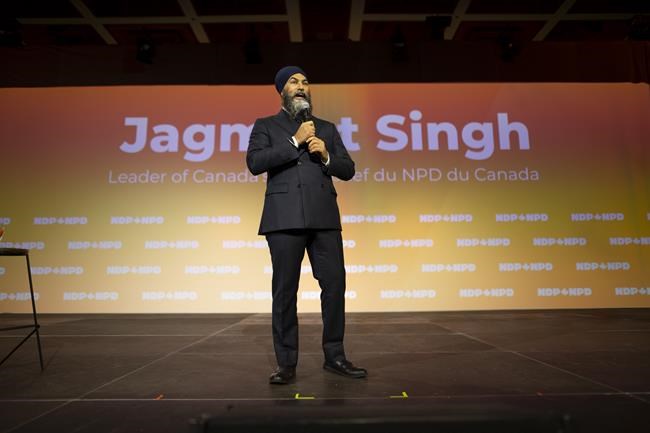 NDP to campaign on pharmacare if it backs out of Liberal deal: national director | iNFOnews.ca NDP to campaign on pharmacare if it backs out of Liberal deal: national director | iNFOnews.ca