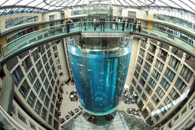 Prosecutors close investigation of Berlin aquarium collapse as the cause remains unclear | iNFOnews.ca Prosecutors close investigation of Berlin aquarium collapse as the cause remains unclear | iNFOnews.ca