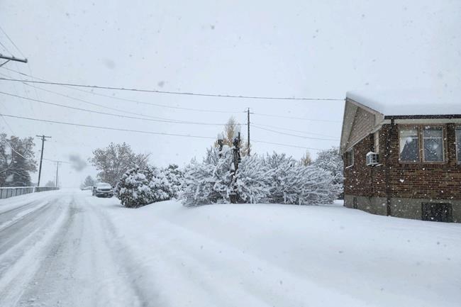 1st major storm of the season drops up to a foot of snow in Montana | iNFOnews.ca 1st major storm of the season drops up to a foot of snow in Montana | iNFOnews.ca