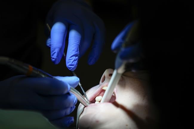 Dentists decry being left in the dark about federal dental insurance plan | iNFOnews.ca