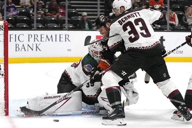 Coyotes' Travis Dermott on using Pride tape, forcing NHL's hand: 'Had to be done' | iNFOnews.ca Coyotes' Travis Dermott on using Pride tape, forcing NHL's hand: 'Had to be done' | iNFOnews.ca