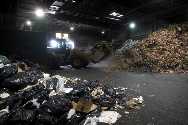 Americans are still putting way too much food into landfills. Local officials seek EPA's help | iNFOnews.ca