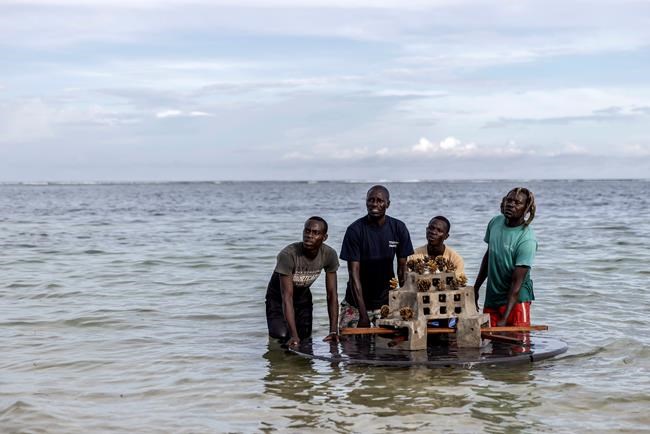 King Charles III observes marine drill and visits conservation projects in coastal Kenya | iNFOnews.ca
