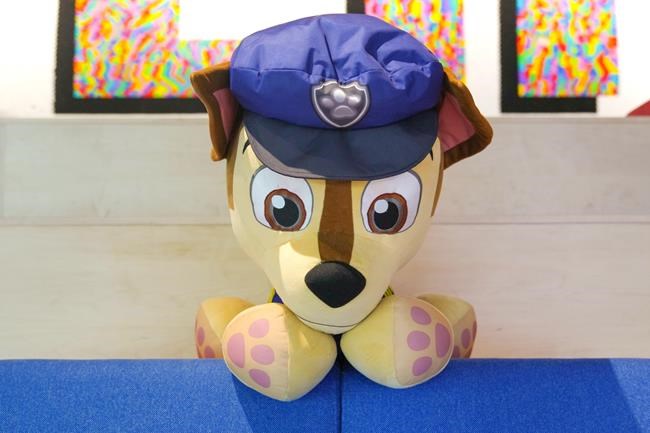 Store-level sales across toy industry 'disappointing' in Oct: Spin Master | iNFOnews.ca