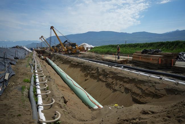 Trans Mountain Corp. issued stop-work order for environmental non-compliance | iNFOnews.ca