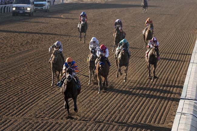 16-1 shot Fierceness wins Breeders' Cup Juvenile for trainer Todd Pletcher | iNFOnews.ca