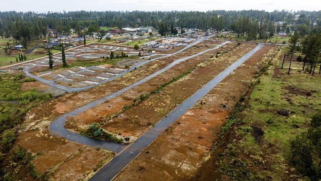 5 years after California's deadliest wildfire, survivors forge different paths toward recovery | iNFOnews.ca