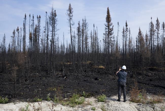 Quebec to improve forest fire adaptation after record-beating wildfire season | iNFOnews.ca