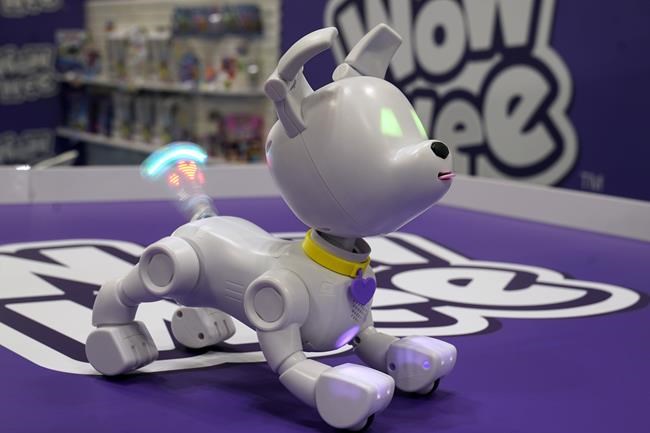 Not just kid play: Toy companies aim more products at older adults | iNFOnews.ca