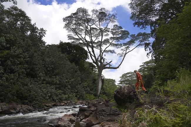 How a massive all-granite, hand-carved Hindu temple ended up on Hawaii's lush Kauai Island | iNFOnews.ca