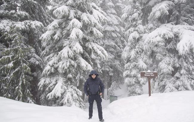 Hiker rescued after nine hours stranded on B.C.'s Mount Seymour | iNFOnews.ca