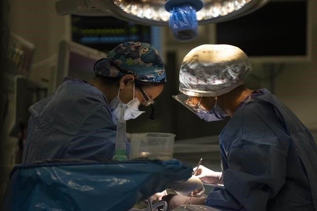 Study finds lower health-care costs among Ontario patients who had female surgeons | iNFOnews.ca