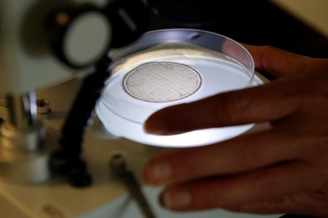 Scientists feel interference in research has lessened but still occurs: survey | iNFOnews.ca