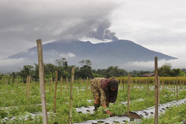 Indonesia's Marapi volcano erupts for the second day, halting search for 12 missing climbers | iNFOnews.ca