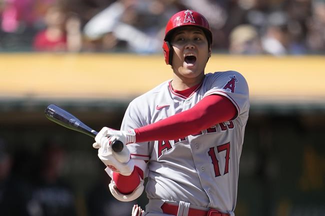 Rumours, plane tracking fuel day of speculation over Shohei Ohtani signing | iNFOnews.ca Rumours, plane tracking fuel day of speculation over Shohei Ohtani signing | iNFOnews.ca