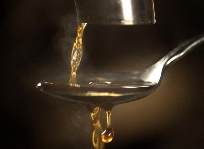 After record year, unreliable weather pushes maple syrup production to five-year low | iNFOnews.ca After record year, unreliable weather pushes maple syrup production to five-year low | iNFOnews.ca
