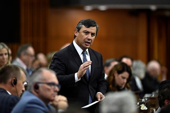 Conservative MP Michael Chong granted standing in inquiry on foreign interference | iNFOnews.ca