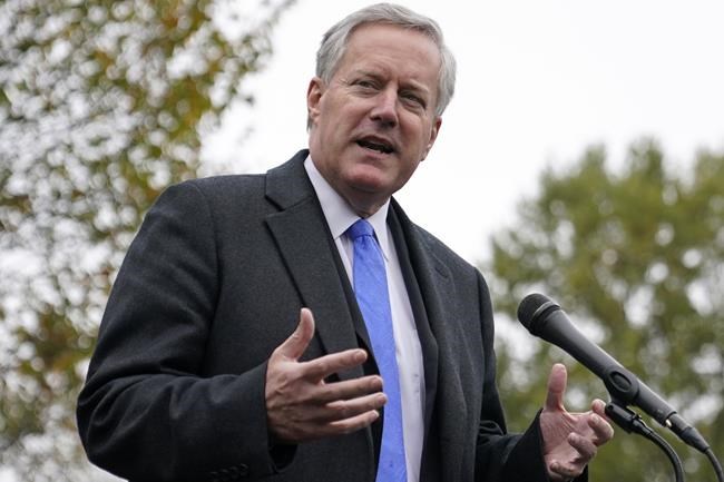 An appeals court will hear arguments over whether Meadows' Georgia charges can move to federal court | iNFOnews.ca