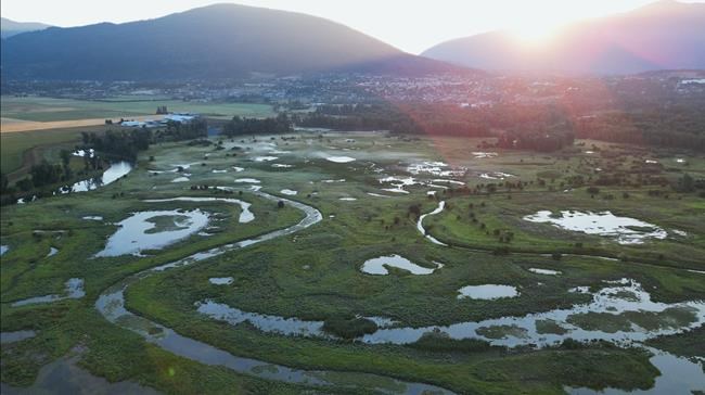 'Water apocalypse' demands return to nature for flood, drought resilience: experts | iNFOnews.ca