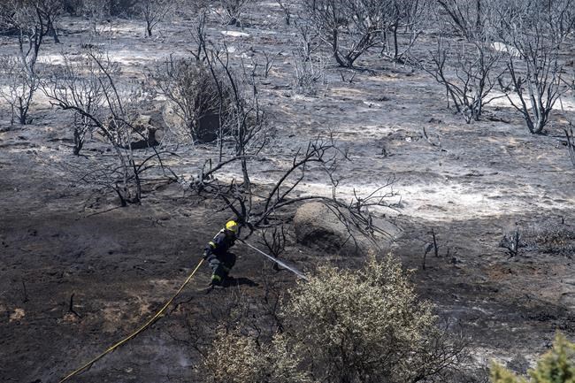 Firefighters battle a wildfire on the slopes of a mountain near Cape Town in South Africa | iNFOnews.ca