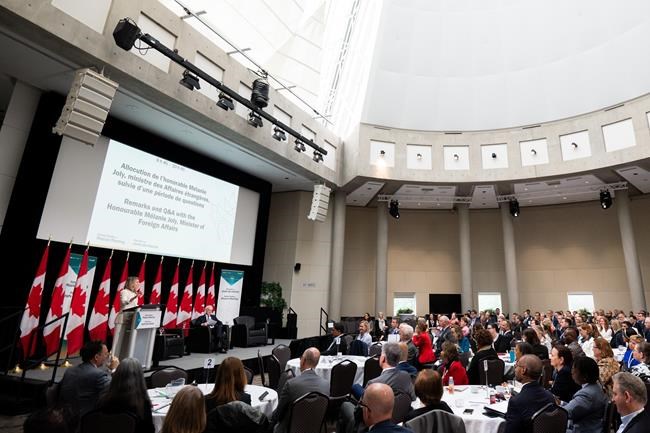 Intelligence watchdog's delayed report says Global Affairs program risks blowback | iNFOnews.ca