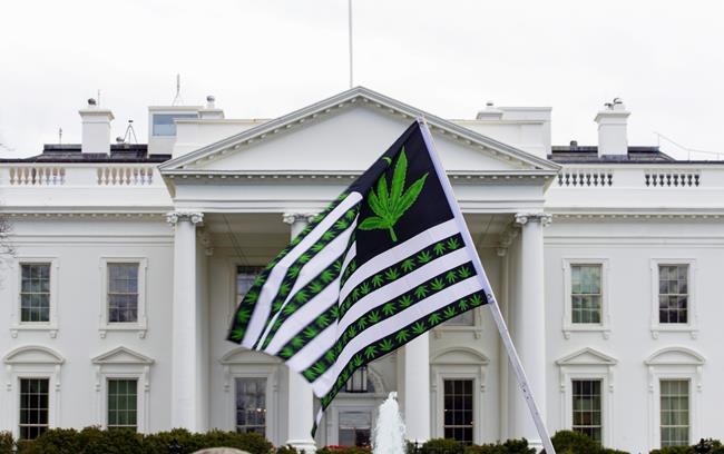 Biden pardons thousands convicted of marijuana charges on federal lands and in Washington | iNFOnews.ca