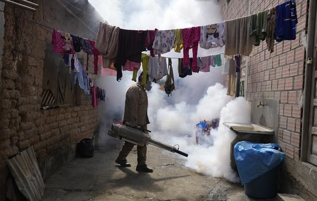 UN health agency cites tenfold increase in reported cases of dengue over the last generation | iNFOnews.ca