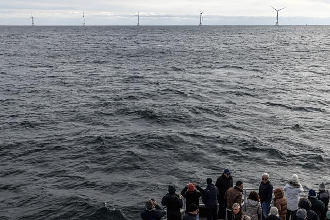Contrary to politicians' claims, offshore wind farms don't kill whales. Here's what to know. | iNFOnews.ca Contrary to politicians' claims, offshore wind farms don't kill whales. Here's what to know. | iNFOnews.ca