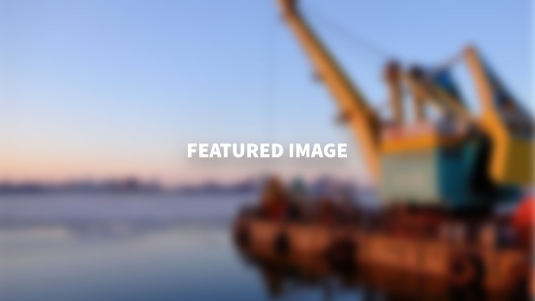 Alt Text – (Image files only) The alt text for the image, e.g. “The Mona Lisa” to describe the media. Used for accessibility.