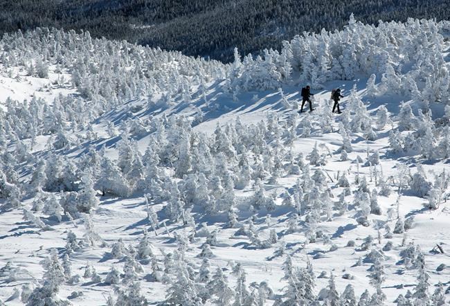 A hiker is rescued after falling down an Adirondack mountain peak on a wet, wintry night | iNFOnews.ca A hiker is rescued after falling down an Adirondack mountain peak on a wet, wintry night | iNFOnews.ca