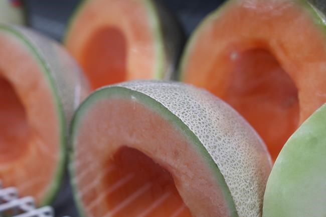 Ontario woman files proposed class-action lawsuit over salmonella-tainted cantaloupes | iNFOnews.ca
