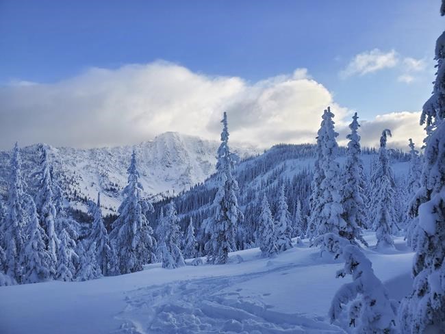 The avalanche risk is high in much of the western US. Here's what you need to know to stay safe | iNFOnews.ca The avalanche risk is high in much of the western US. Here's what you need to know to stay safe | iNFOnews.ca