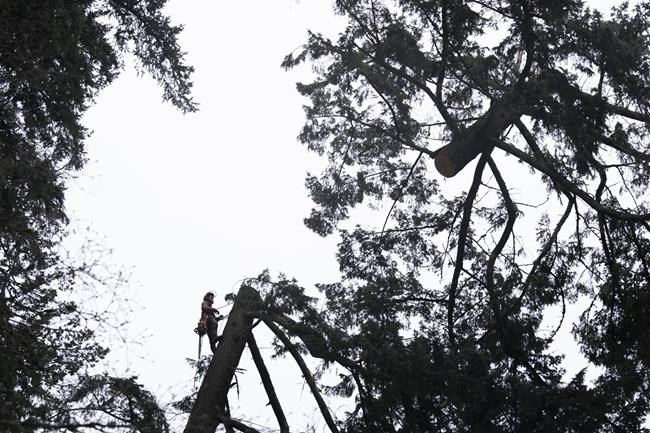 The Pacific Northwest braces for a new round of ice and freezing rain after deadly weekend storm | iNFOnews.ca
