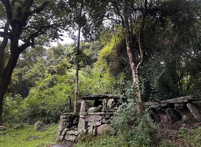 What are sacred forests? | iNFOnews.ca