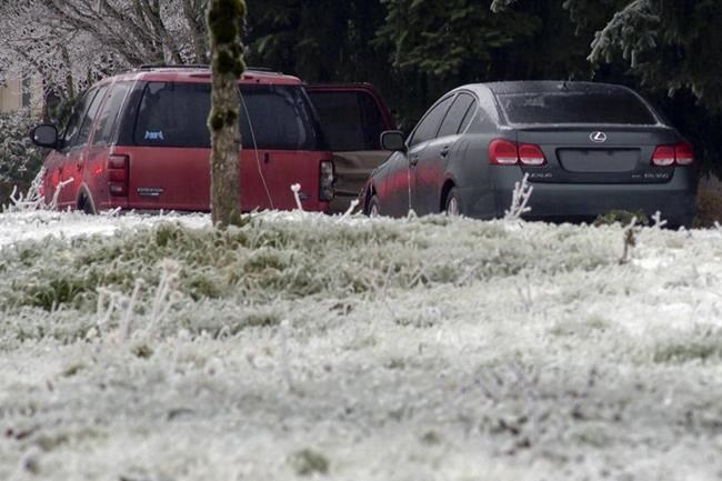 Power line falls on car during Oregon ice storm, killing 3 and injuring a baby, authorities say | iNFOnews.ca Power line falls on car during Oregon ice storm, killing 3 and injuring a baby, authorities say | iNFOnews.ca