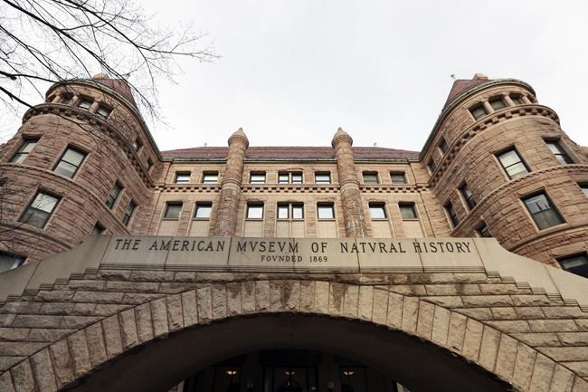 A famed NYC museum is closing two Native American halls. Harvard and others have taken similar steps | iNFOnews.ca A famed NYC museum is closing two Native American halls. Harvard and others have taken similar steps | iNFOnews.ca