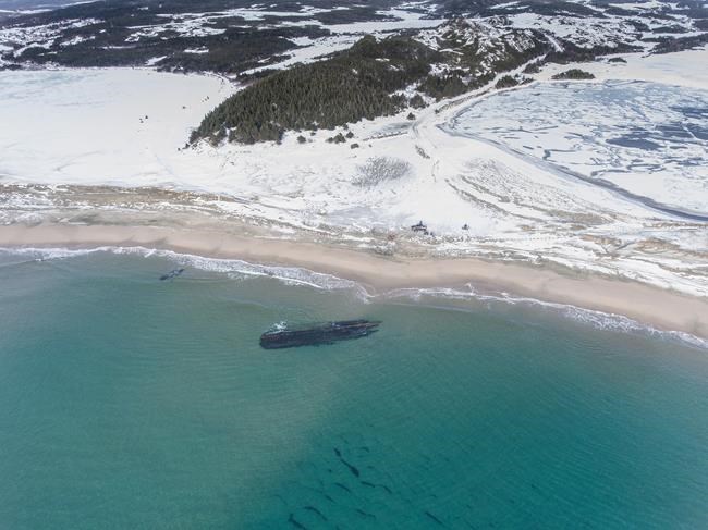 A ghostly shipwreck has emerged in Newfoundland, and residents want to know its story | iNFOnews.ca