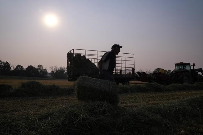 Farmers anxious as carbon price carve-out bill faces uncertain future | iNFOnews.ca