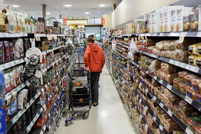 In the news today: Experts say help support grocers and famous rodents make forecast | iNFOnews.ca In the news today: Experts say help support grocers and famous rodents make forecast | iNFOnews.ca